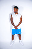 Blue Mesh Shorts