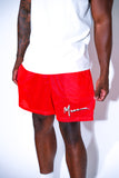 Red Mesh Shorts