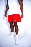 Red Mesh Shorts